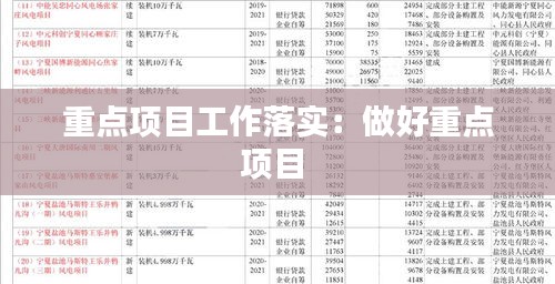 重点项目工作落实：做好重点项目 