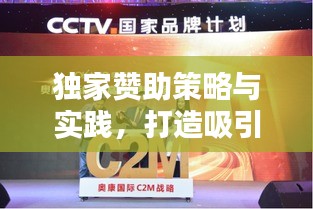 独家赞助策略与实践，打造吸引人的活动盛宴