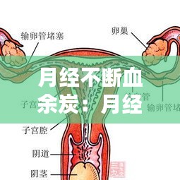 月经不断血余炭：月经血不停怎么办 