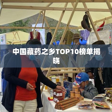 中国藏药之乡TOP10榜单揭晓