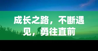 成长之路，不断遇见，勇往直前