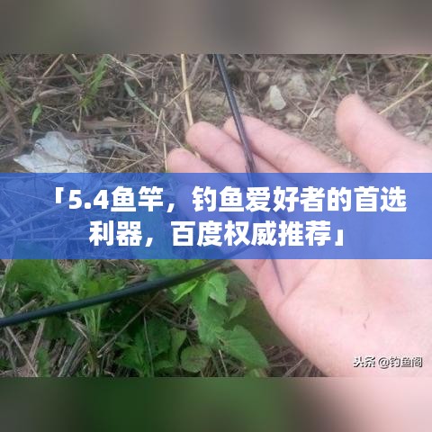 「5.4鱼竿，钓鱼爱好者的首选利器，百度权威推荐」