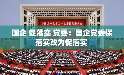 国企 促落实 党委：国企党委保落实改为促落实 