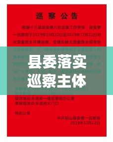 县委落实巡察主体责任：县委巡察工作实施细则 