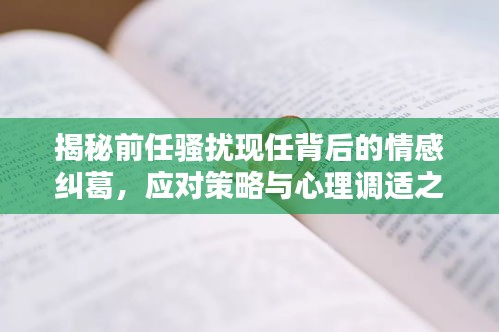 揭秘前任骚扰现任背后的情感纠葛，应对策略与心理调适之道