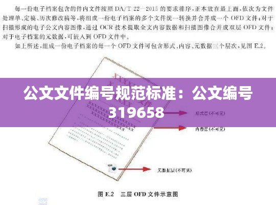 公文文件编号规范标准：公文编号319658 