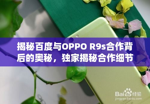 揭秘百度与OPPO R9s合作背后的奥秘，独家揭秘合作细节！