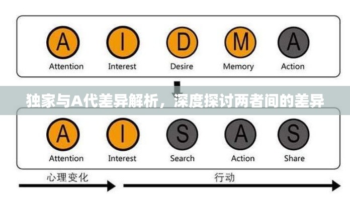 独家与A代差异解析，深度探讨两者间的差异