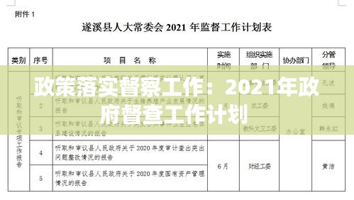 政策落实督察工作：2021年政府督查工作计划 