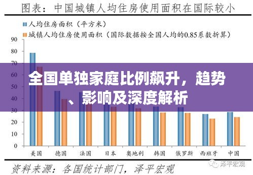 全国单独家庭比例飙升，趋势、影响及深度解析