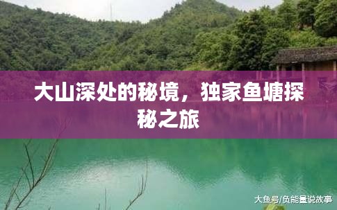 大山深处的秘境，独家鱼塘探秘之旅