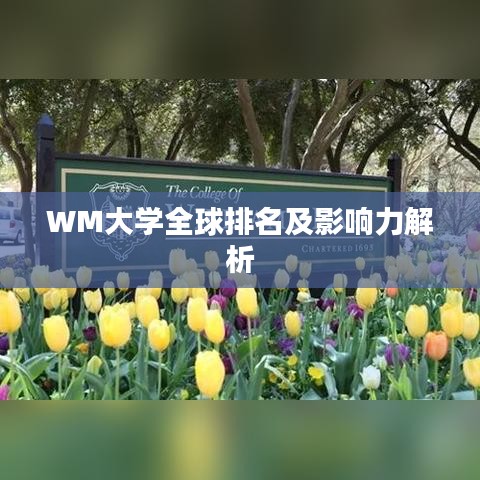 WM大学全球排名及影响力解析