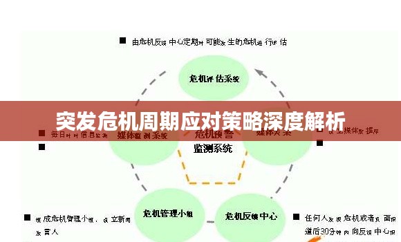 突发危机周期应对策略深度解析