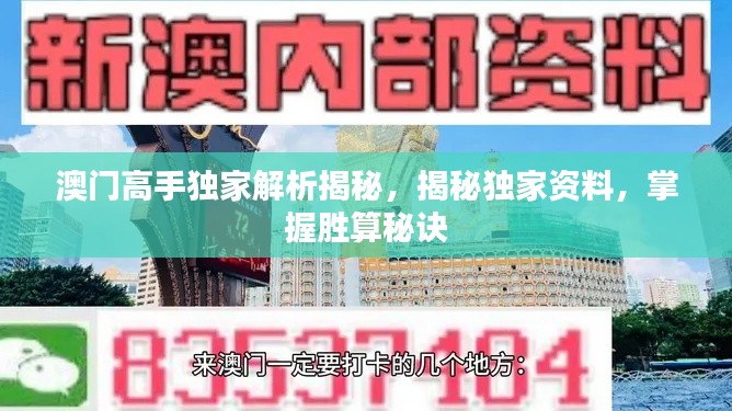 澳门高手独家解析揭秘，揭秘独家资料，掌握胜算秘诀