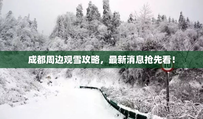 成都周边观雪攻略，最新消息抢先看！