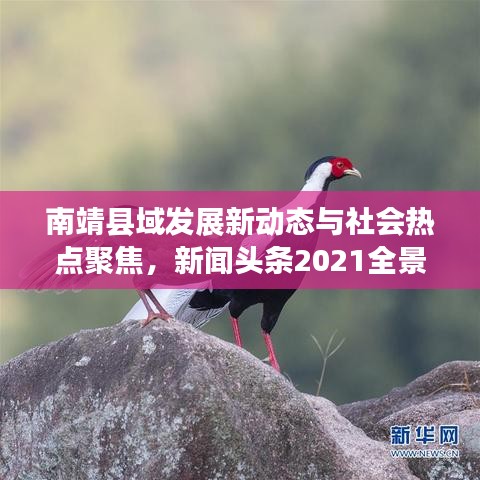 南靖县域发展新动态与社会热点聚焦，新闻头条2021全景综述