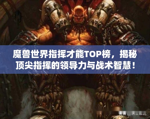 魔兽世界指挥才能TOP榜，揭秘顶尖指挥的领导力与战术智慧！