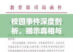 校园事件深度剖析，揭示真相与启示的新闻报道案例范文