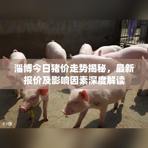 淄博今日猪价走势揭秘，最新报价及影响因素深度解读