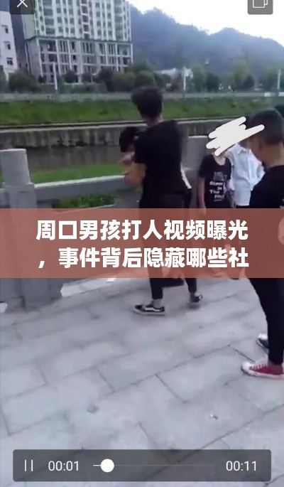 周口男孩打人视频曝光，事件背后隐藏哪些社会问题？引人深思