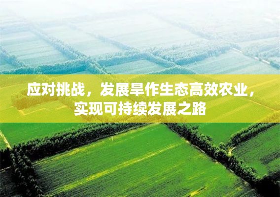 应对挑战，发展旱作生态高效农业，实现可持续发展之路