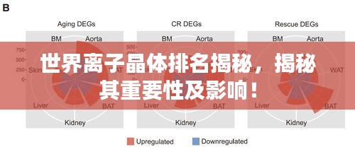 世界离子晶体排名揭秘，揭秘其重要性及影响！