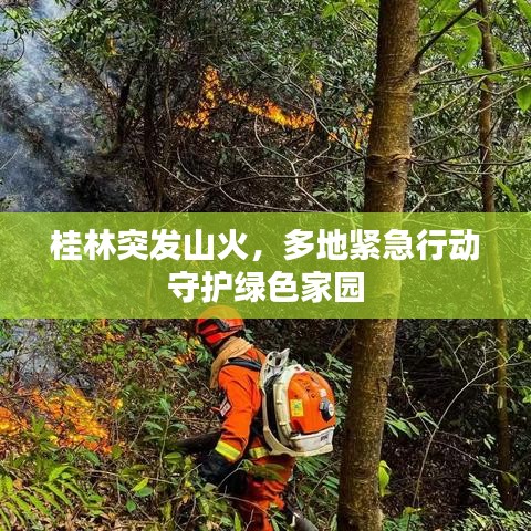 桂林突发山火，多地紧急行动守护绿色家园