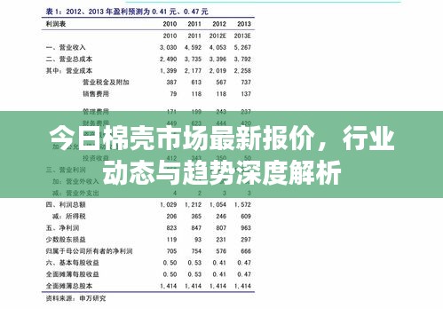 今日棉壳市场最新报价，行业动态与趋势深度解析