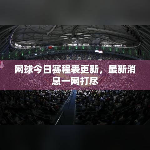 网球今日赛程表更新，最新消息一网打尽