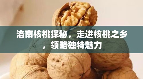 洛南核桃探秘，走进核桃之乡，领略独特魅力