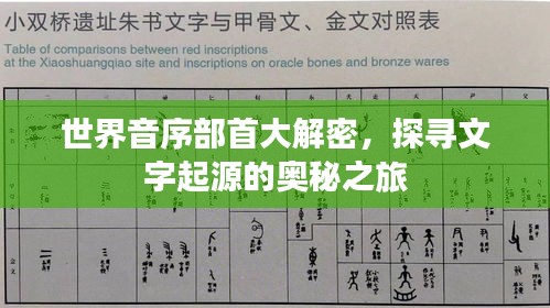 世界音序部首大解密，探寻文字起源的奥秘之旅