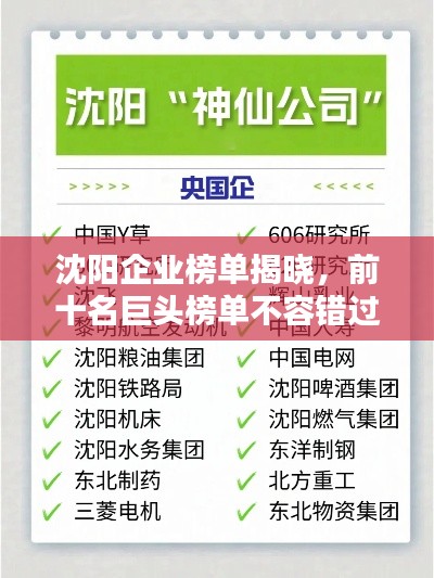 沈阳企业榜单揭晓，前十名巨头榜单不容错过！