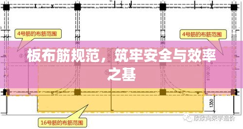 板布筋规范，筑牢安全与效率之基