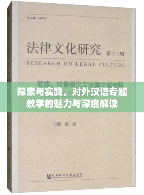 探索与实践，对外汉语专题教学的魅力与深度解读