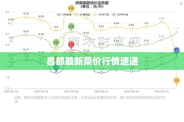 昌都最新菜价行情速递