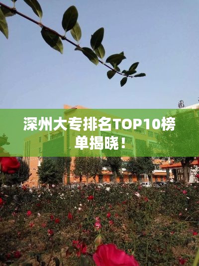 深州大专排名TOP10榜单揭晓！