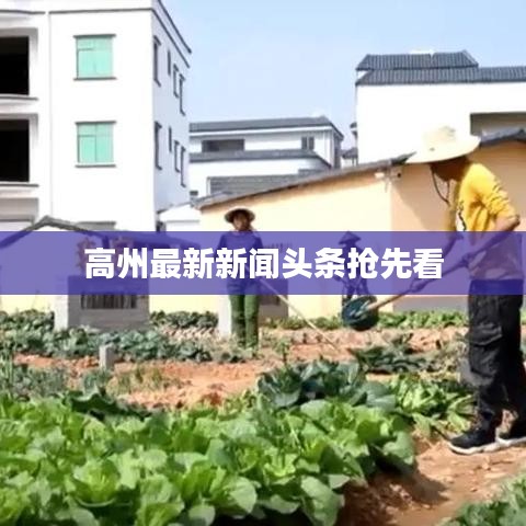 高州最新新闻头条抢先看