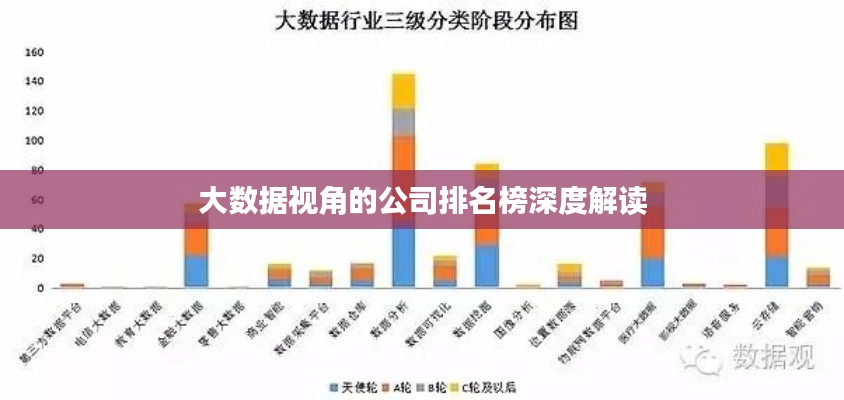 大数据视角的公司排名榜深度解读