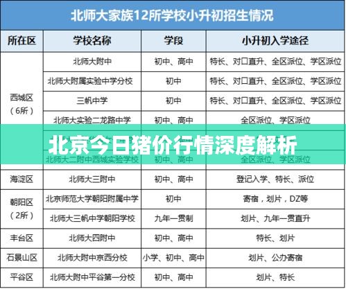 北京今日猪价行情深度解析