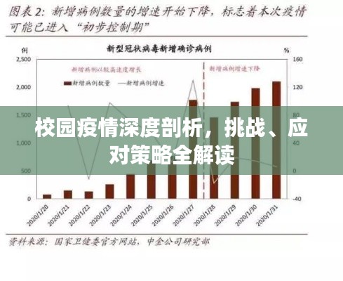 校园疫情深度剖析，挑战、应对策略全解读