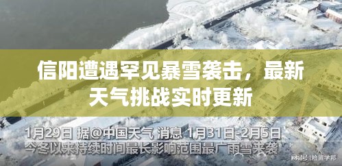 信阳遭遇罕见暴雪袭击，最新天气挑战实时更新