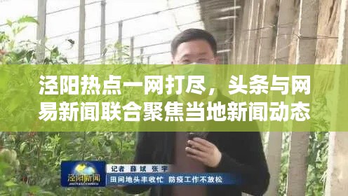 泾阳热点一网打尽，头条与网易新闻联合聚焦当地新闻动态