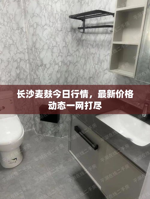 长沙麦麸今日行情，最新价格动态一网打尽