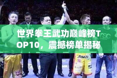 世界拳王武功巅峰榜TOP10，震撼榜单揭秘！