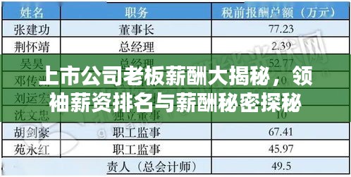 上市公司老板薪酬大揭秘，领袖薪资排名与薪酬秘密探秘