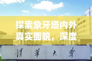 探索象牙塔内外真实面貌，深度报道揭示大学校园真实状况