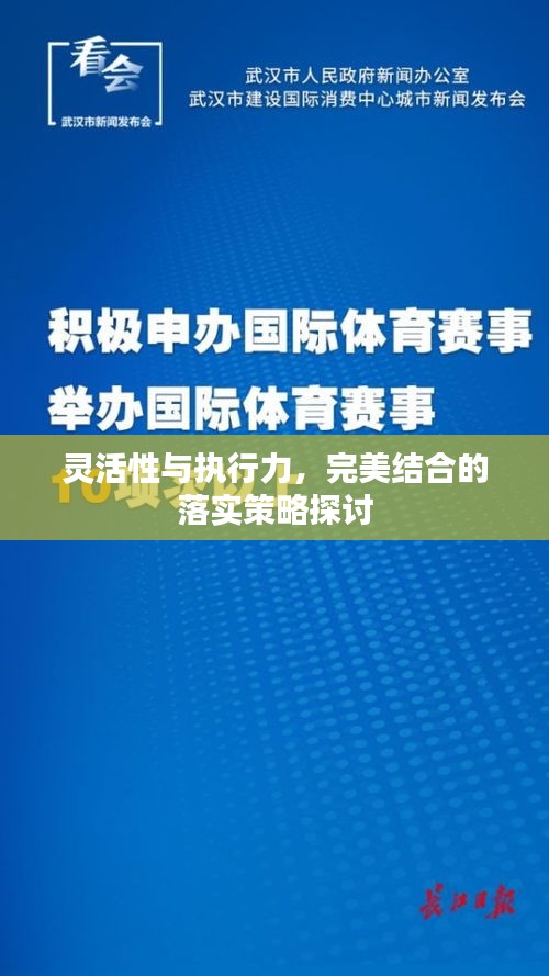 灵活性与执行力，完美结合的落实策略探讨