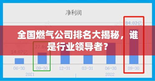 全国燃气公司排名大揭秘，谁是行业领导者？