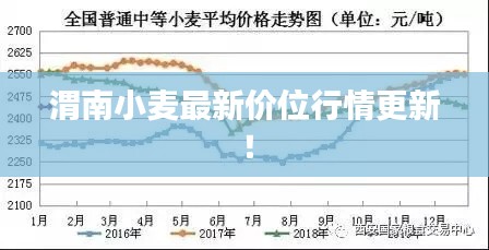 渭南小麦最新价位行情更新！