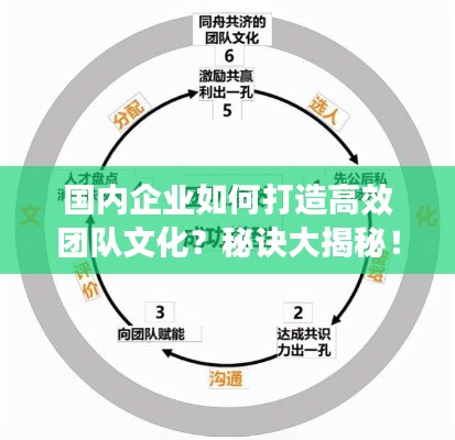 国内企业如何打造高效团队文化？秘诀大揭秘！